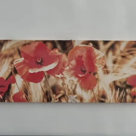 Prázdninový dům O' Palazziell *